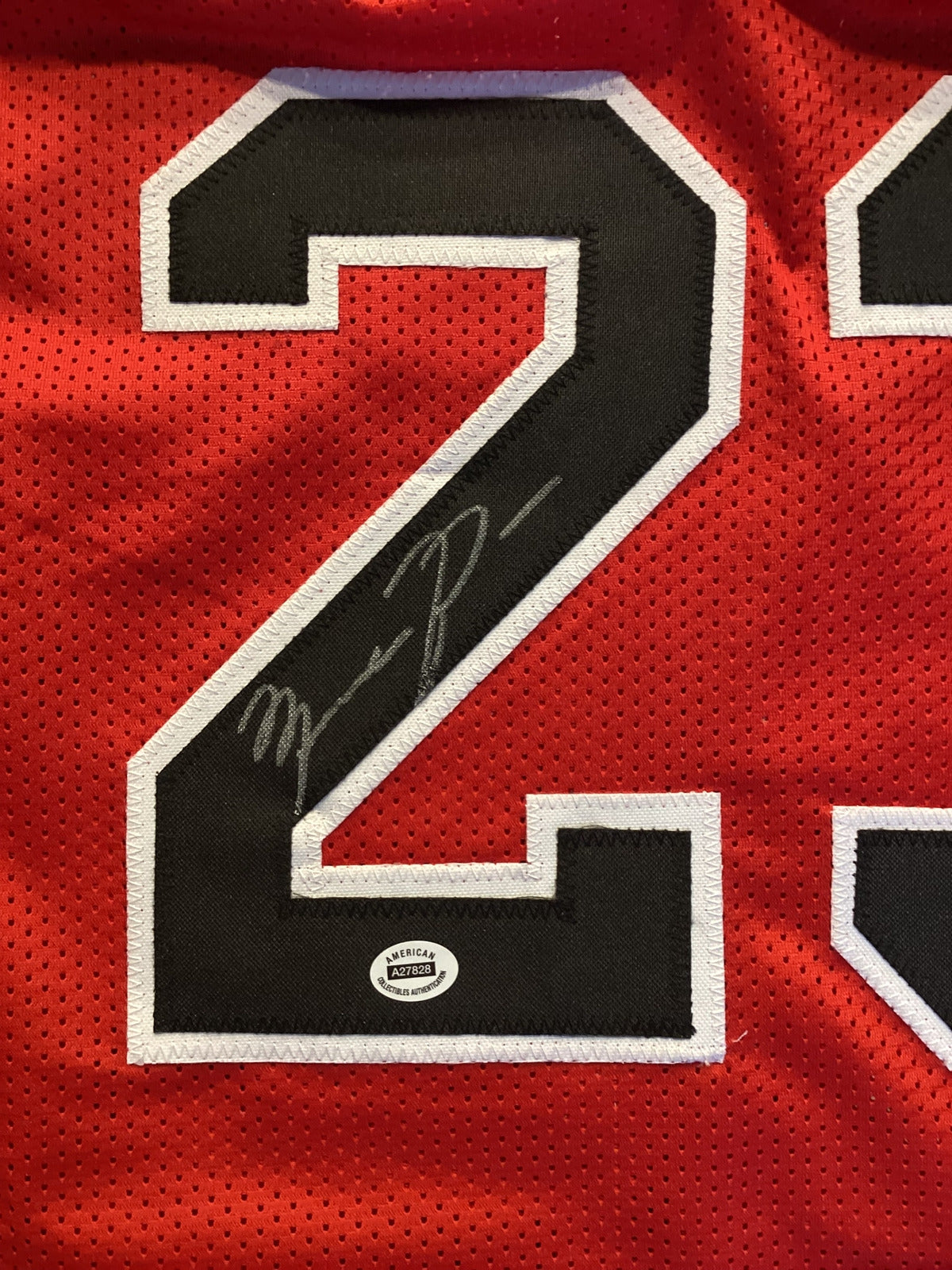 Michael Jordan Signed Chicago Bulls Red Jersey Autographed NBA