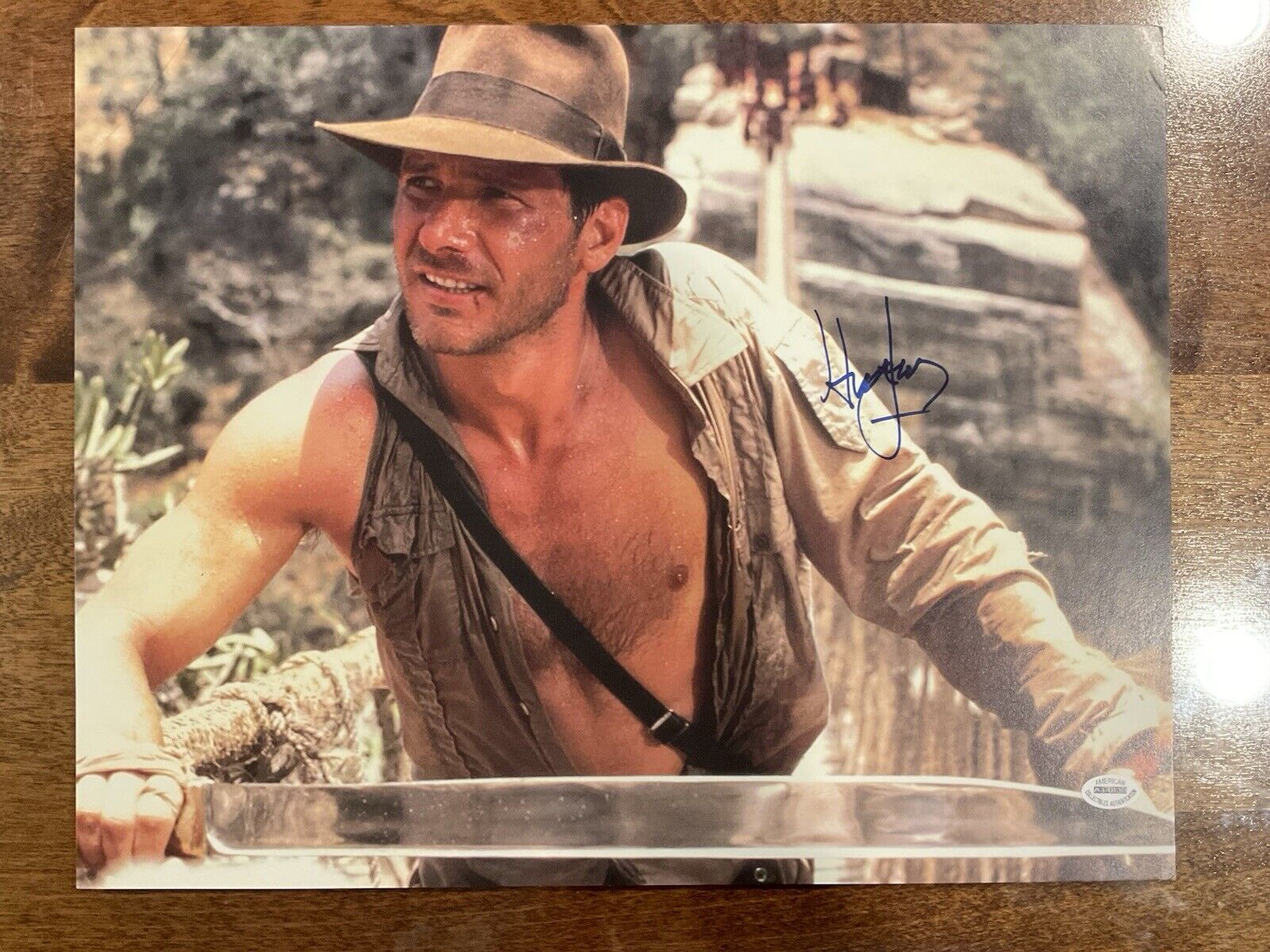 14x11 Signed Harison Ford Indiana Jones Photo With COA