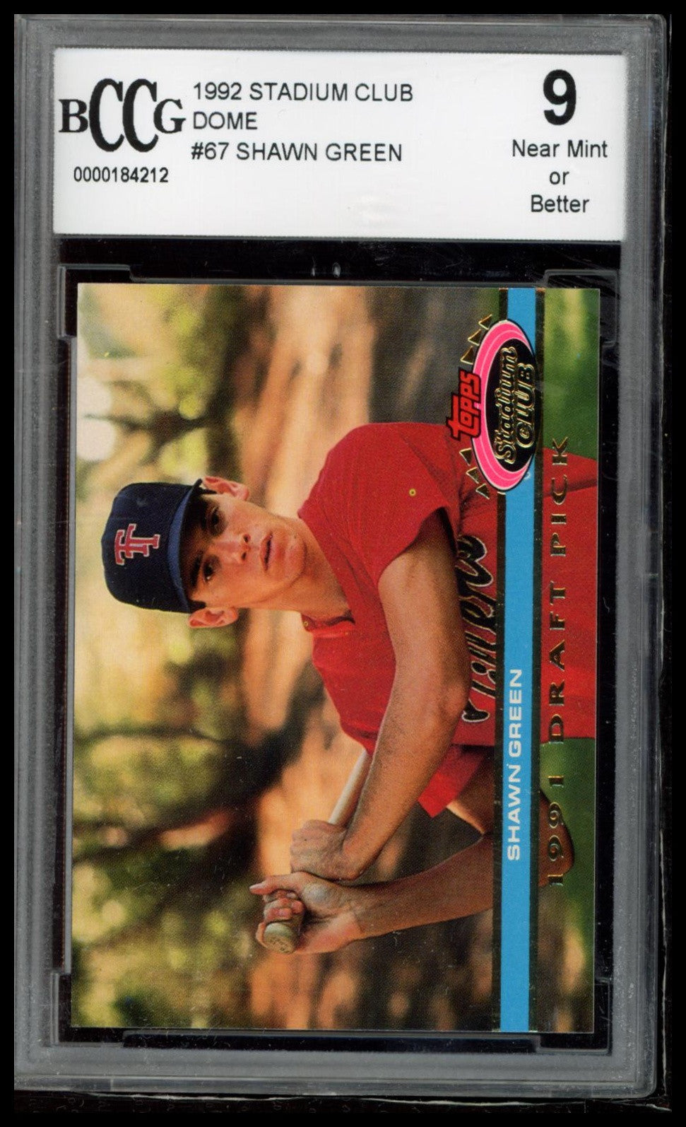 1992 Stadium Club Dome #67 Shawn Green SGC 9