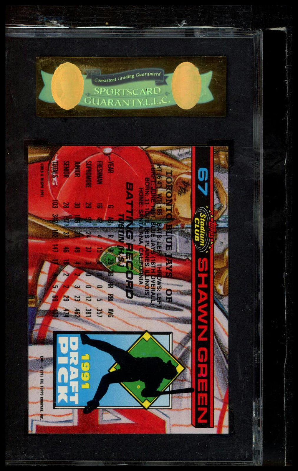 1992 Stadium Club Dome #67 Shawn Green SGC 9